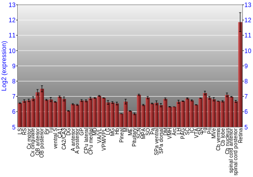 Expression graph