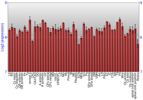 Expression graph