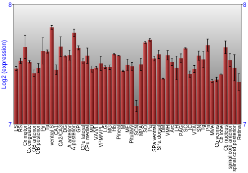 Expression graph