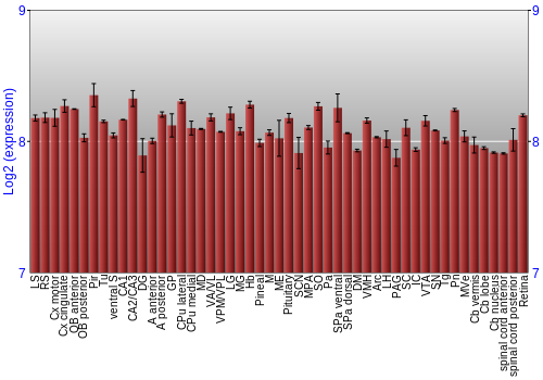 Expression graph