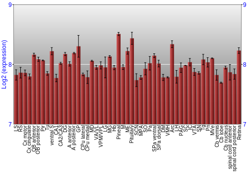 Expression graph