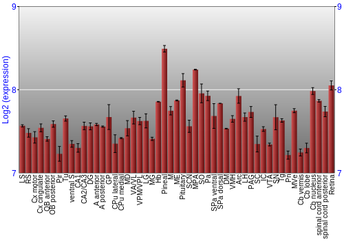 Expression graph