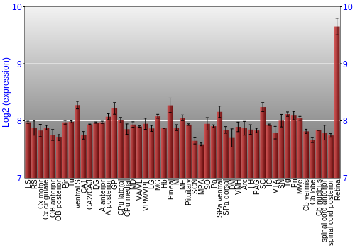 Expression graph