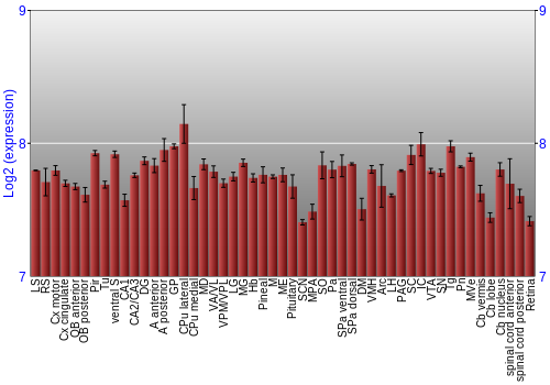 Expression graph