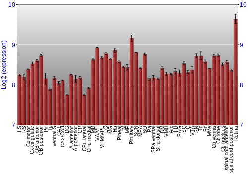 Expression graph