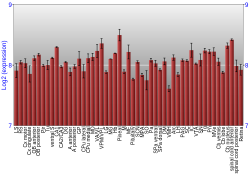 Expression graph