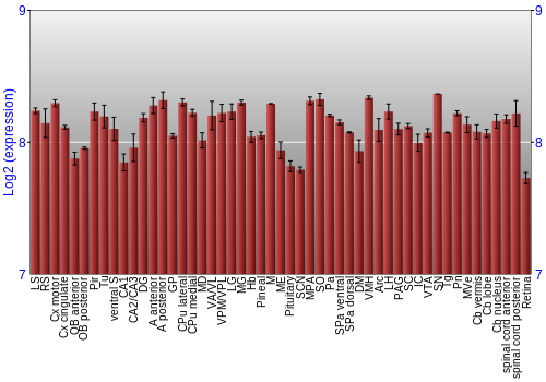 Expression graph