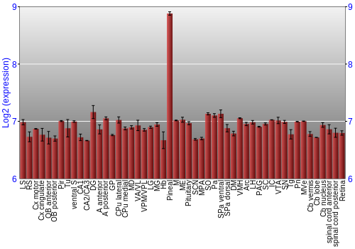 Expression graph