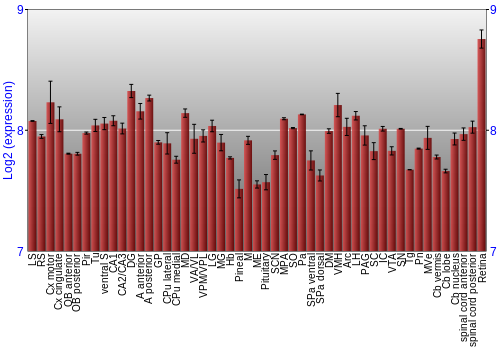 Expression graph