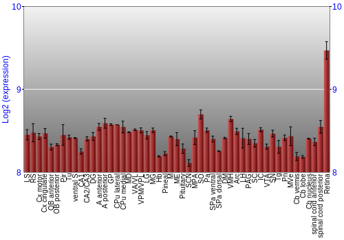 Expression graph