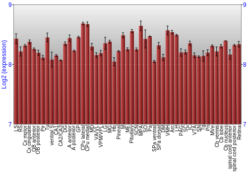 Expression graph