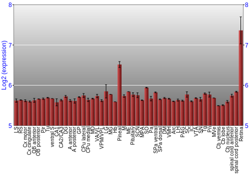 Expression graph