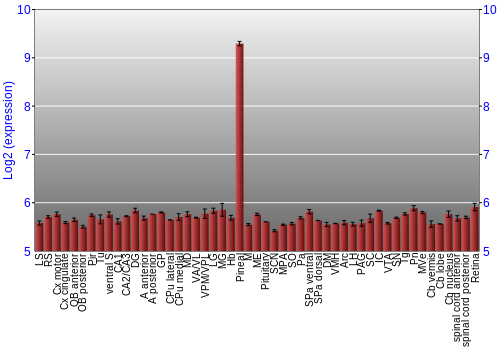 Expression graph