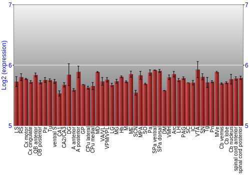 Multi-state expression graph