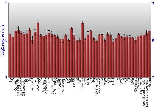 Expression graph