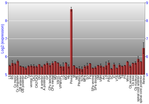 Expression graph