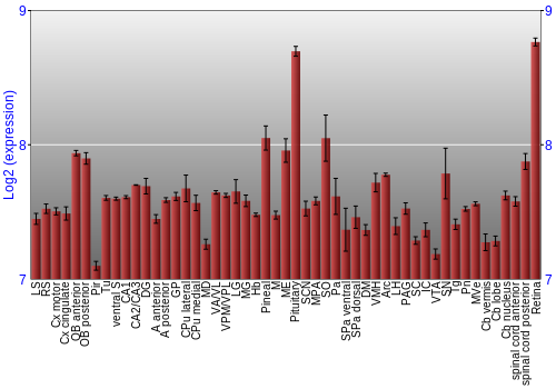 Expression graph