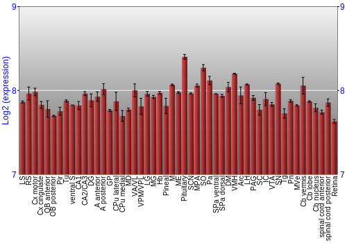 Expression graph