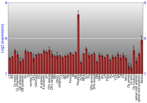 Expression graph