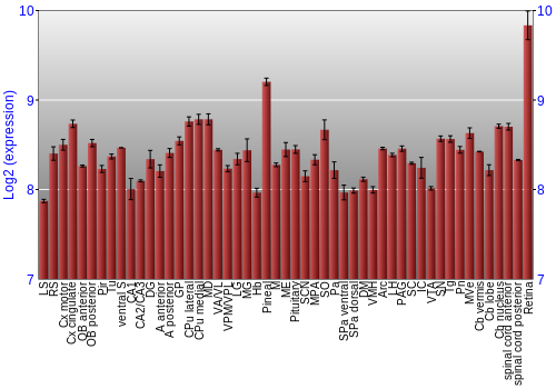 Expression graph