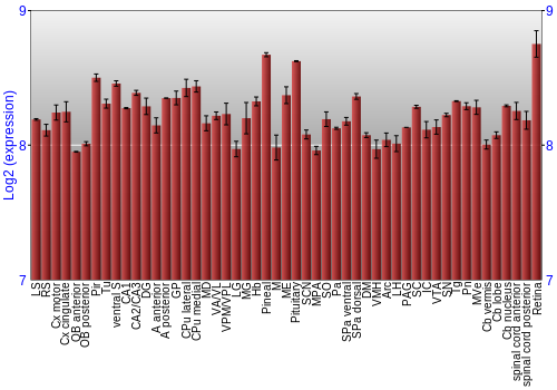 Expression graph