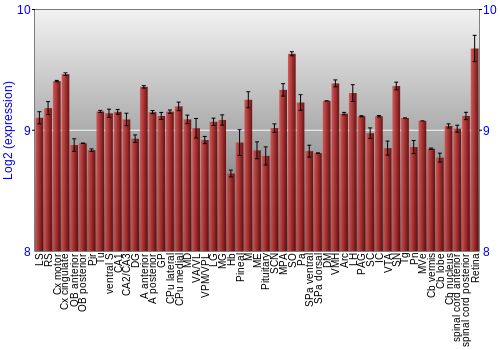 Expression graph