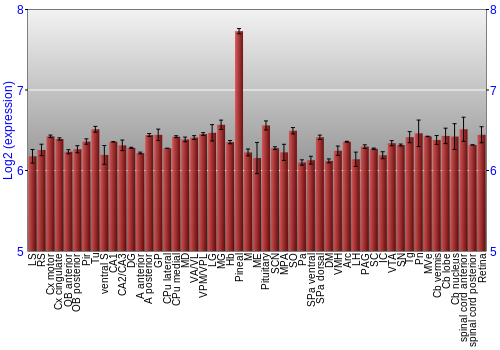 Expression graph