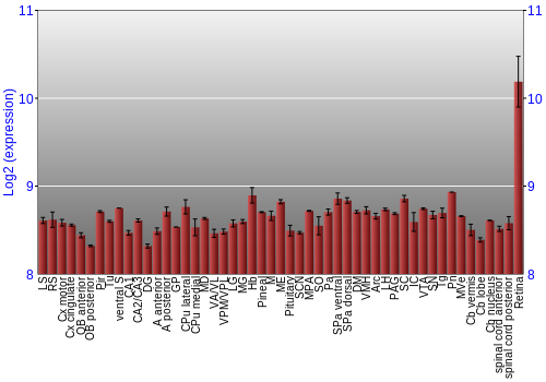 Expression graph