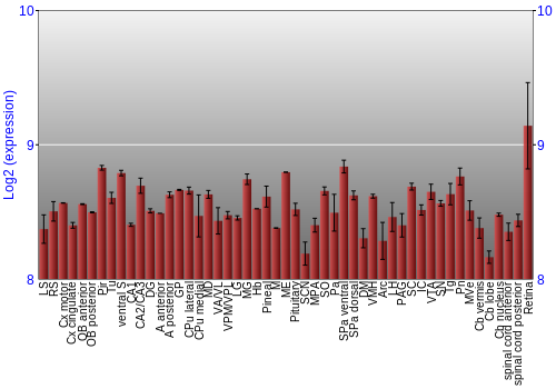 Expression graph