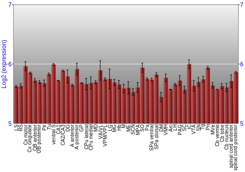 Multi-state expression graph