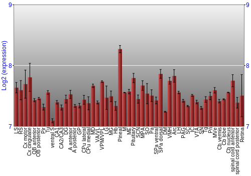 Expression graph