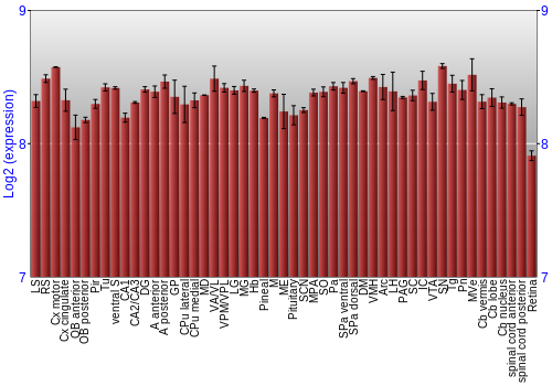 Expression graph