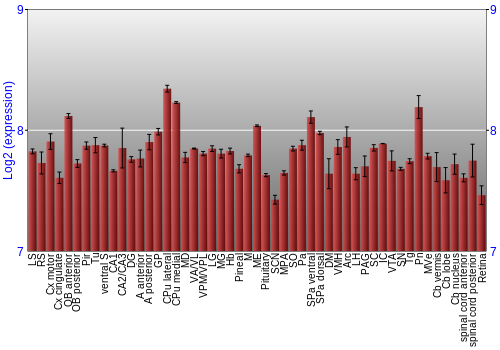 Expression graph