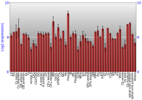 Expression graph