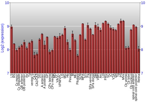 Expression graph