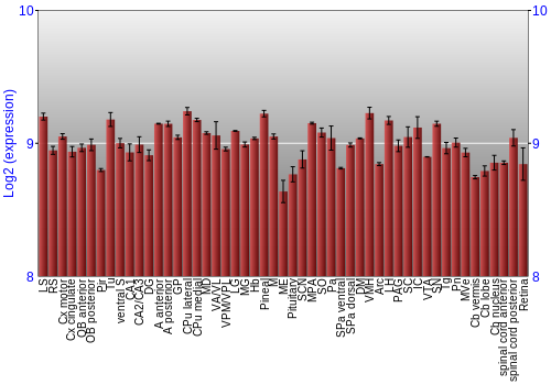 Expression graph