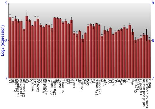 Expression graph