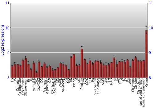 Expression graph