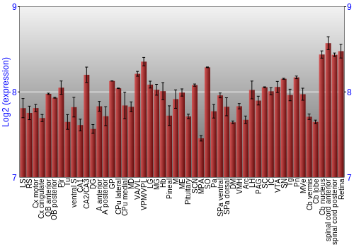 Expression graph