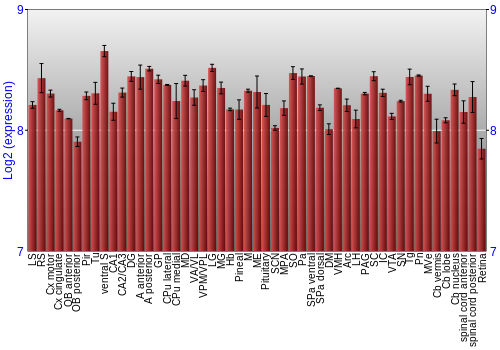 Expression graph