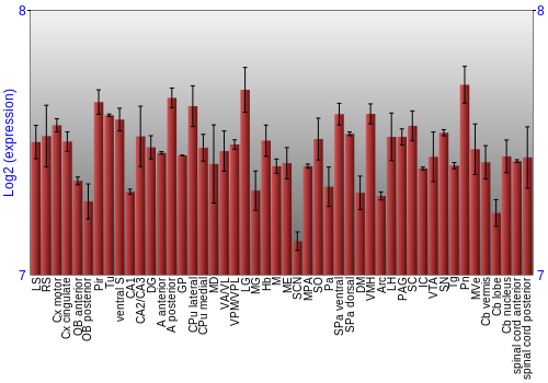 Multi-state expression graph
