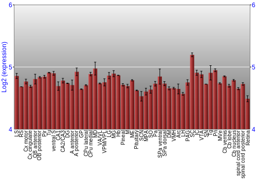 Expression graph