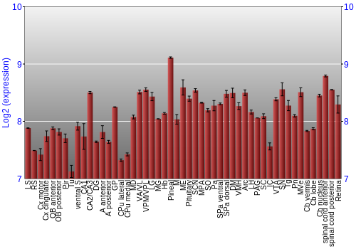Expression graph