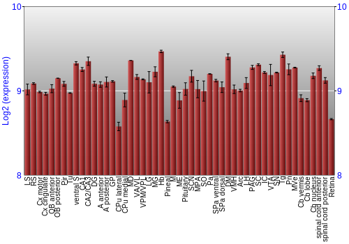 Expression graph