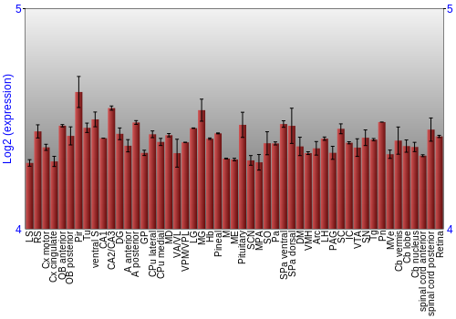 Expression graph