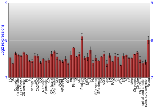 Expression graph