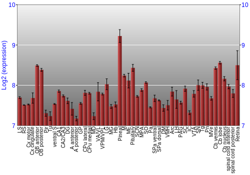 Expression graph