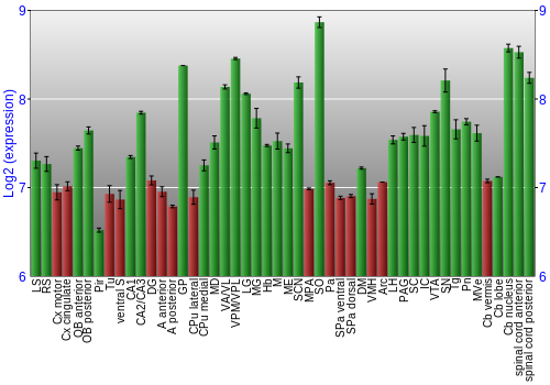 Multi-state expression graph