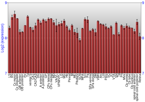 Expression graph