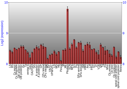 Expression graph